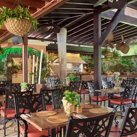 Garden Eco & Hotel Playa de las Americas (Tenerife)